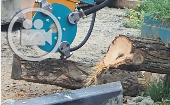 Excavator Wood Saws | Echidna