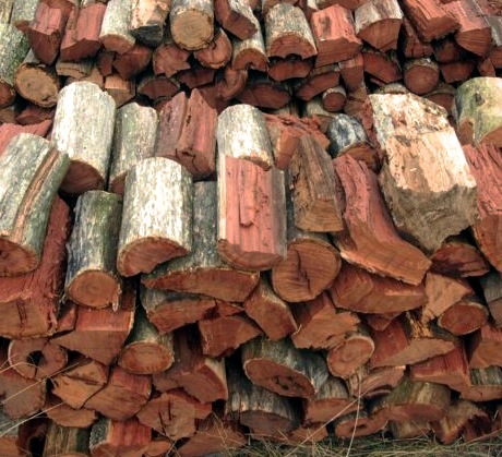 Firewood